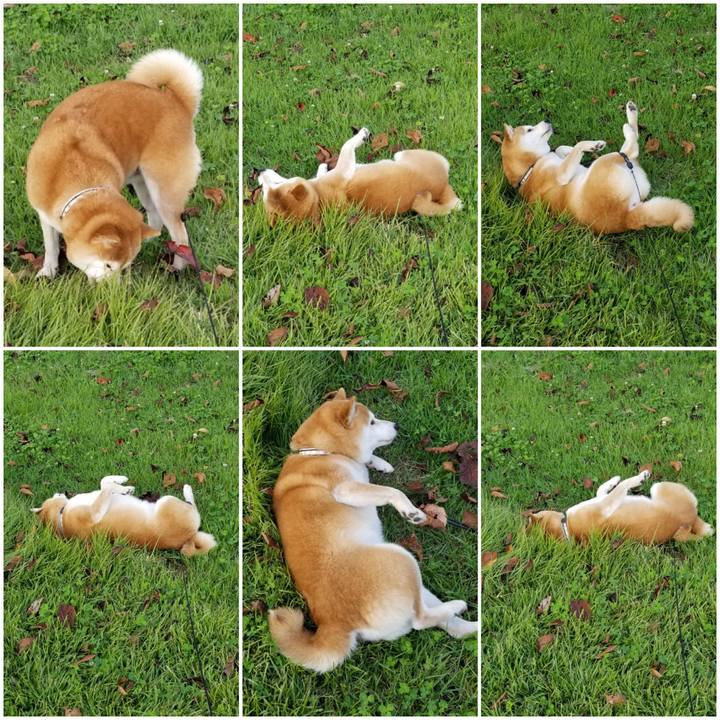 2dbacb8b 7c4b 4d79 9d3a 1109257015ee 1601543665174