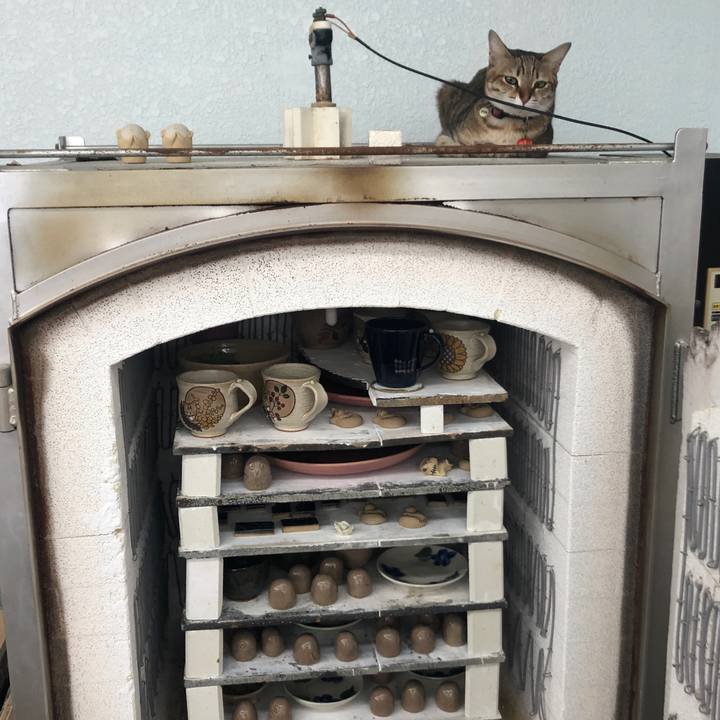 2dbad62b f433 40d0 9ea8 ec241c5a17de 1643767422704