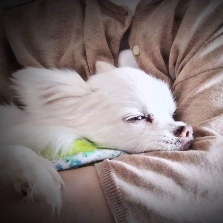 2dbae4c3 0e6f 4ad5 a800 fda5deaf9845 1690670544020