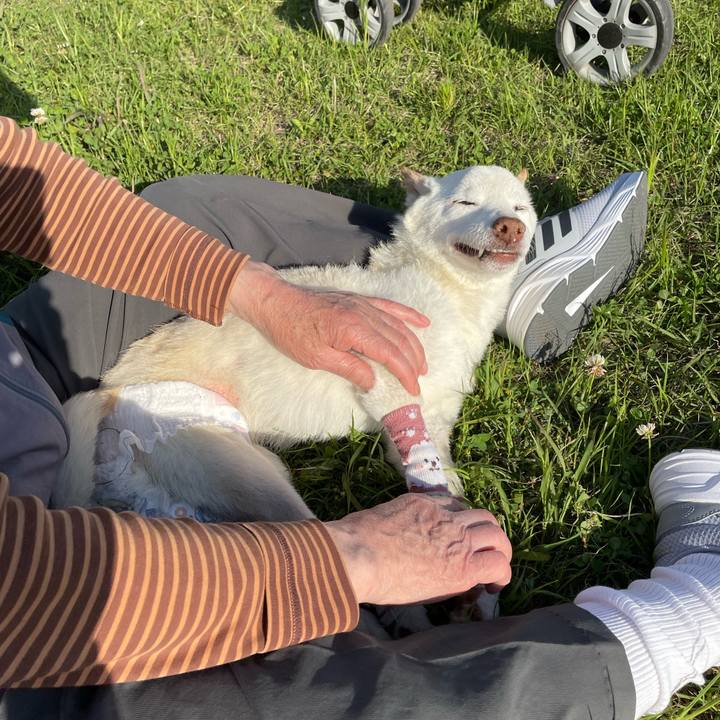 2dbaec34 4adb 44e4 b6eb b867042e678a 1682985352431