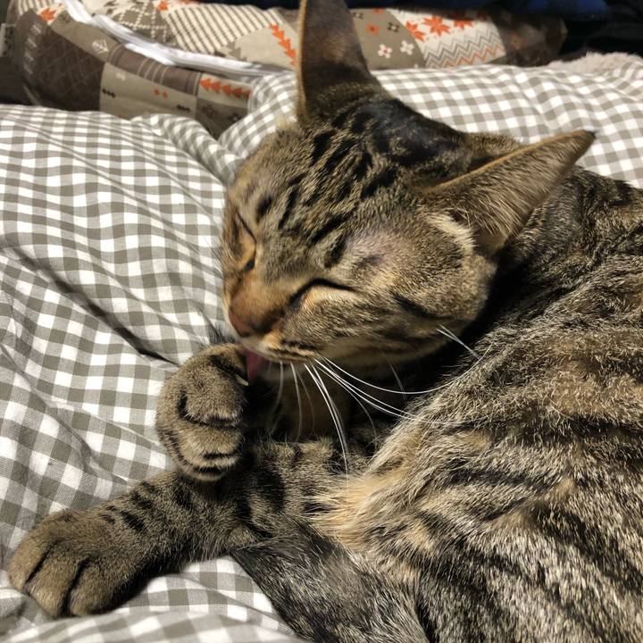 2dbaeda7 d00f 44a5 a2d7 850aaa375cd5 1514817403382