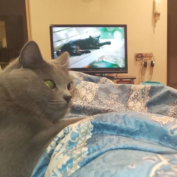 2dbbb06c a6d0 4c87 8a85 585f730e4355 1541167668458