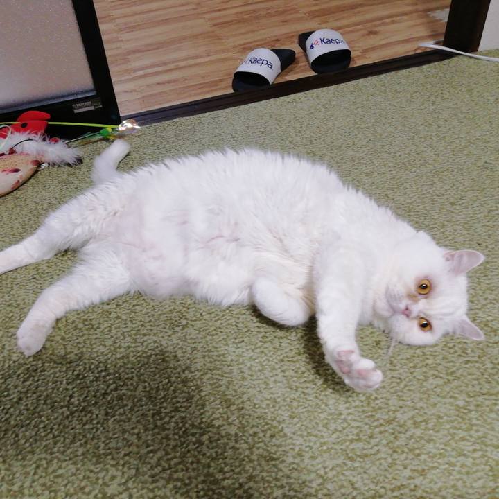 2dbbb4e7 0b24 4999 85f3 ff546e0925ad 1715247821121