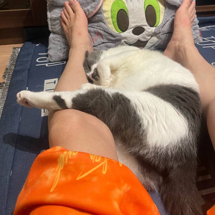 2dbbd868 adef 4840 b879 9ad78b95d1a4 1729265992180