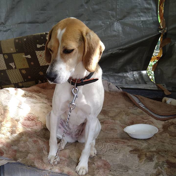 2dbc1221 399c 4886 8c7b 2f2a6703f0a5 1651126881148