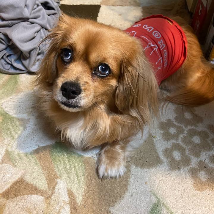 2dbc67f6 8630 4f74 b18c eaf840feb1cb 1581458905205