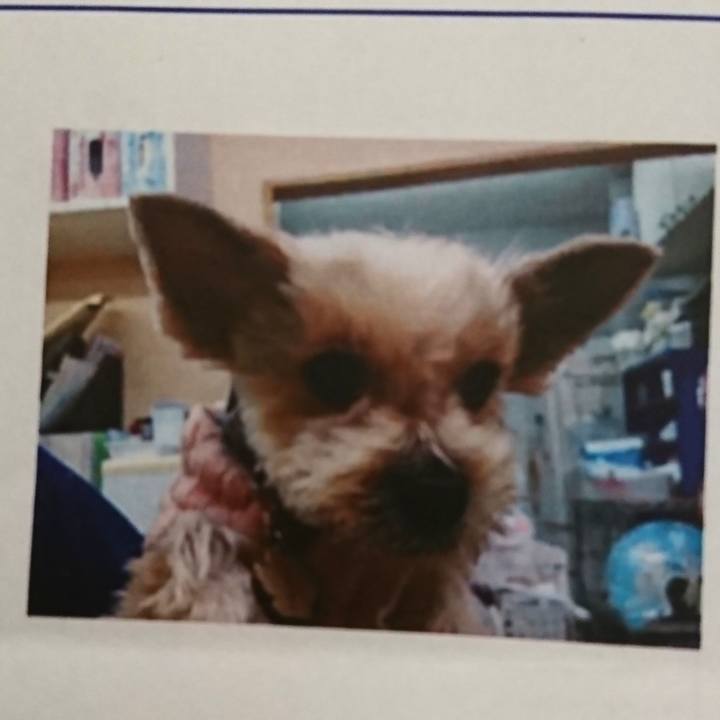 2dbcc90b 16f7 416f a9f2 7246bdc84c7e 1550482955931