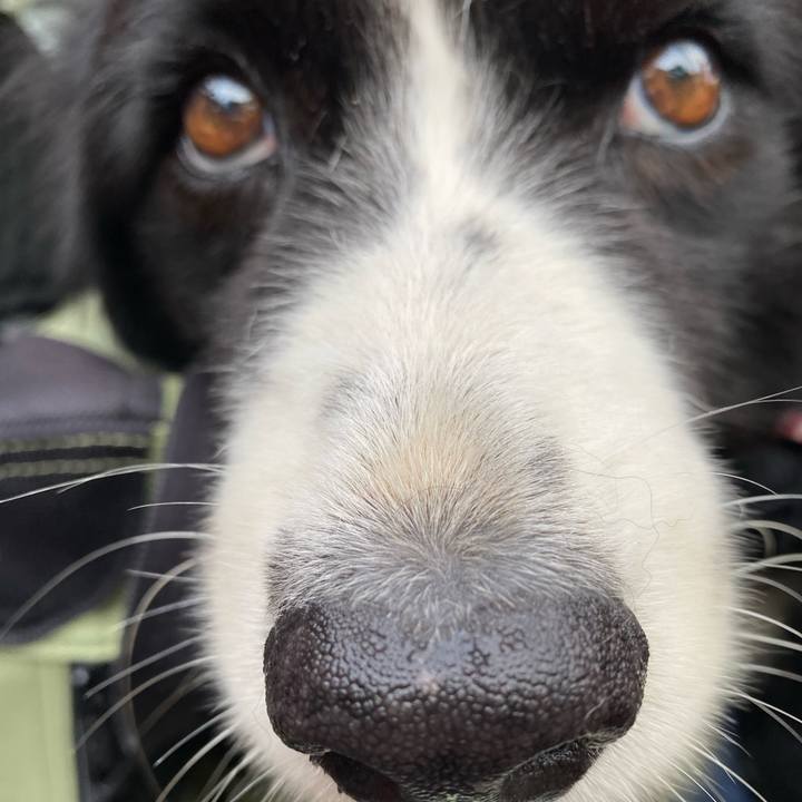 2dbcd717 9adc 48c4 8a3b 06e1a5cb9963 1599084187015