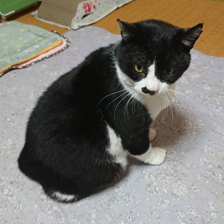 2dbce490 78fd 4a14 8b61 e323fec94e0c 1577138862336