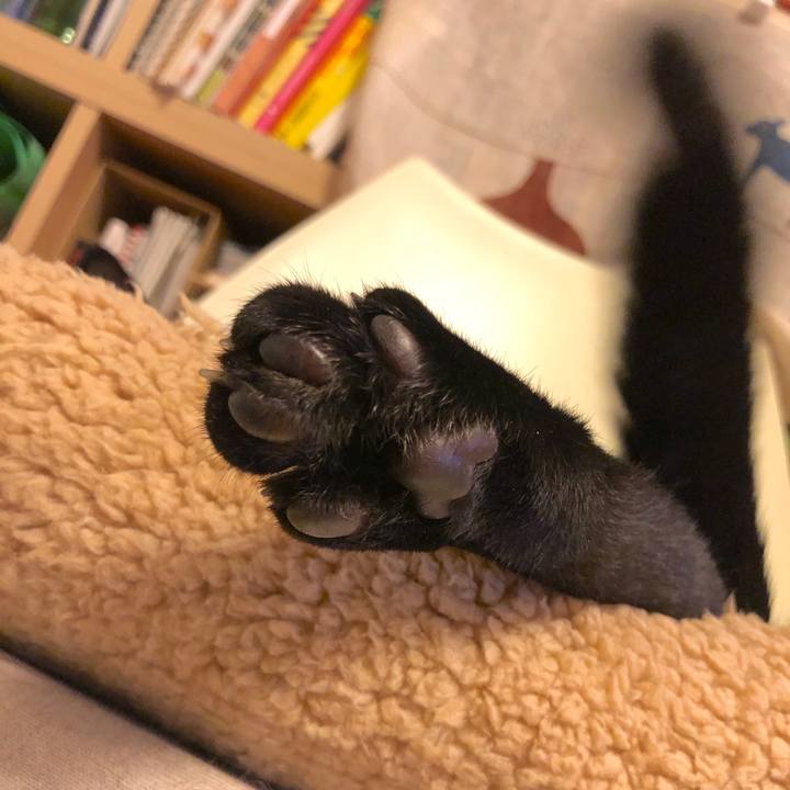 2dbce5c0 9f02 408d 9460 fd391b3d902b 1543483307985