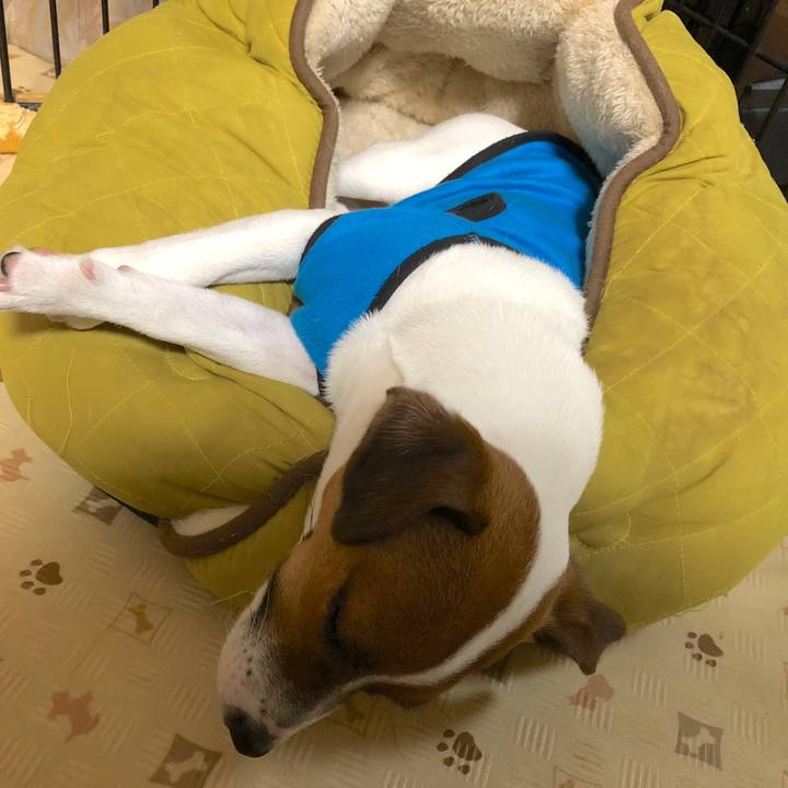 2dbcebe9 99a4 4af4 b061 64ec7ba63b76 1523964845260