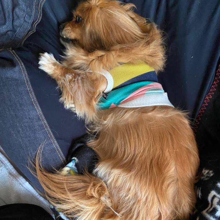 2dbd040b 0ce3 49f7 815c 03ffa87bc8e1 1620423920500