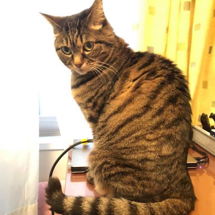 2dbd0669 8b3a 4a4d a513 e322a2122a9a 1777040559251