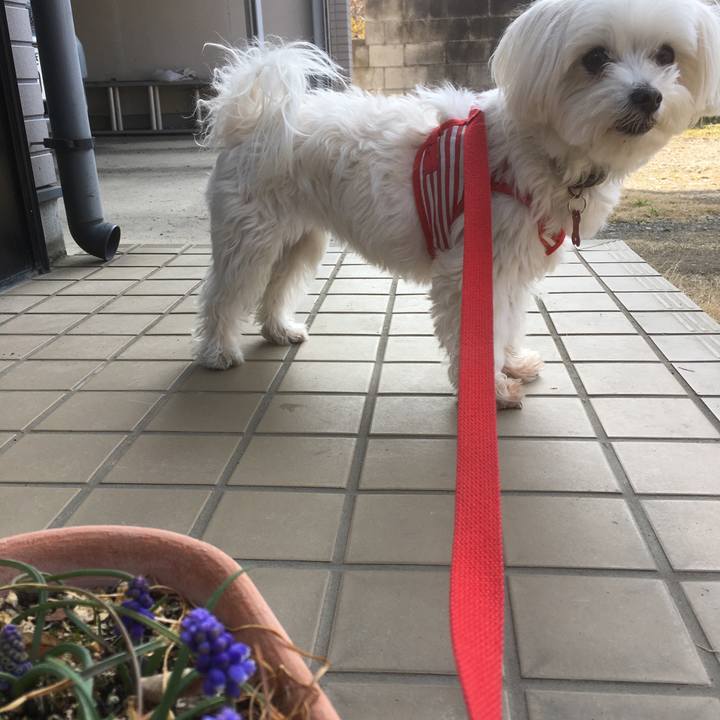 2dbd61e7 311d 4068 8c54 f3fc98d13257 1520928064081