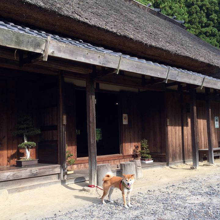 2dbd6c19 68c0 4514 ae10 e8ec8e67a574 1508317803779