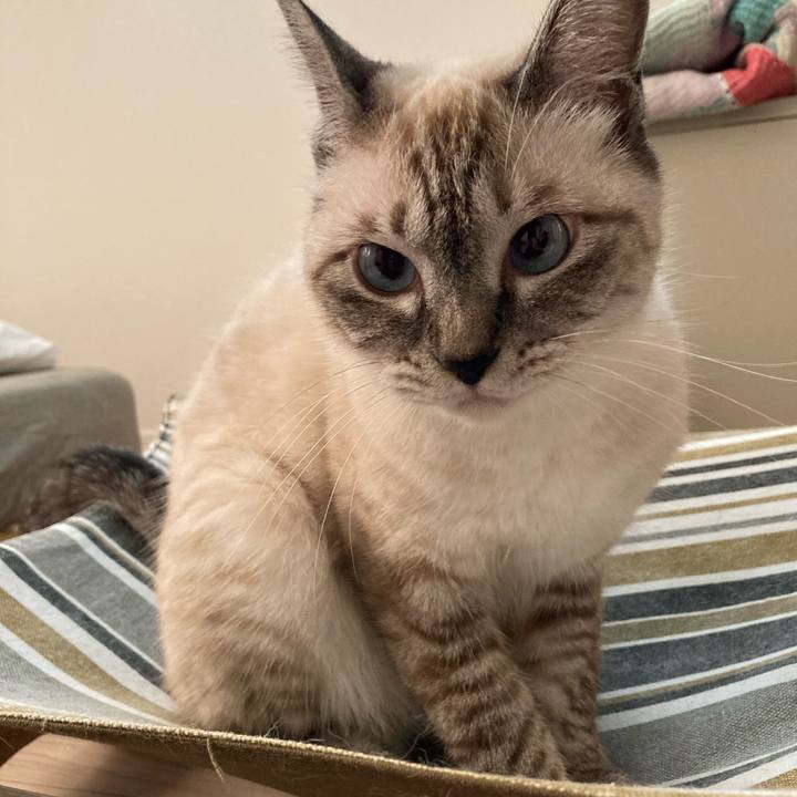 2dbd82ab 2558 4ac7 8dcf 6a583f066acb 1596546211474