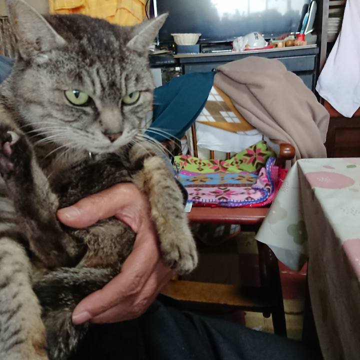 2dbda7fe e64e 4983 af32 d2d06a50a4af 1553324899006