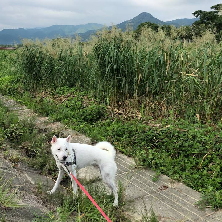 2dbda9f5 3321 42af 8a06 8fa6b904ed99 1537155430711