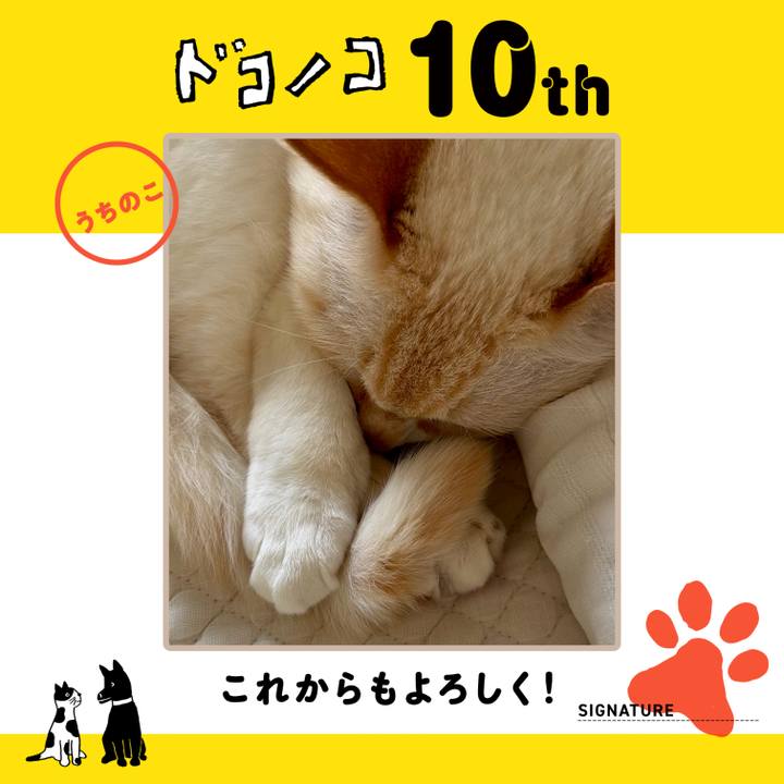 2dbdaf18 2f63 448d bf85 387aaa9a950c 1780870181945