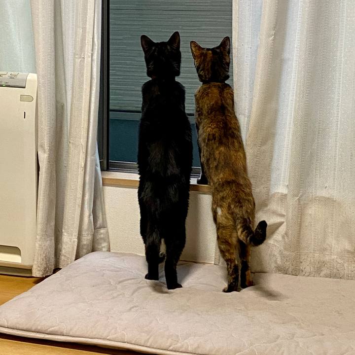 2dbdd388 2ab2 4c3d bf87 1d09a73ca645 1623748760421