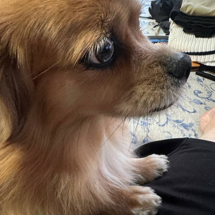 2dbdded8 066d 40c4 98e1 2fab47eaca49 1696540213064