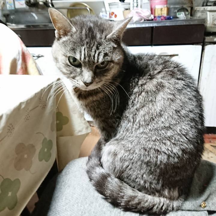 2dbe16e1 da63 4156 94a9 5892b3822a6d 1577823939060