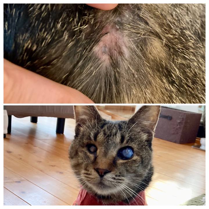 2dbe22fc 09d3 495d 8a20 4dbe3fe355fd 1682030601865