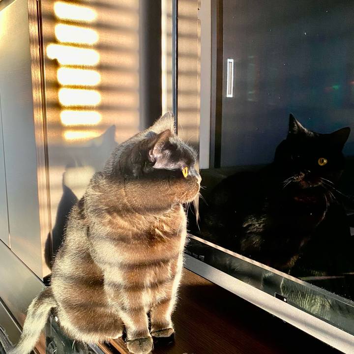 2dbe5ab4 6f9d 41c7 bd45 d87c56a28c35 1678429435410