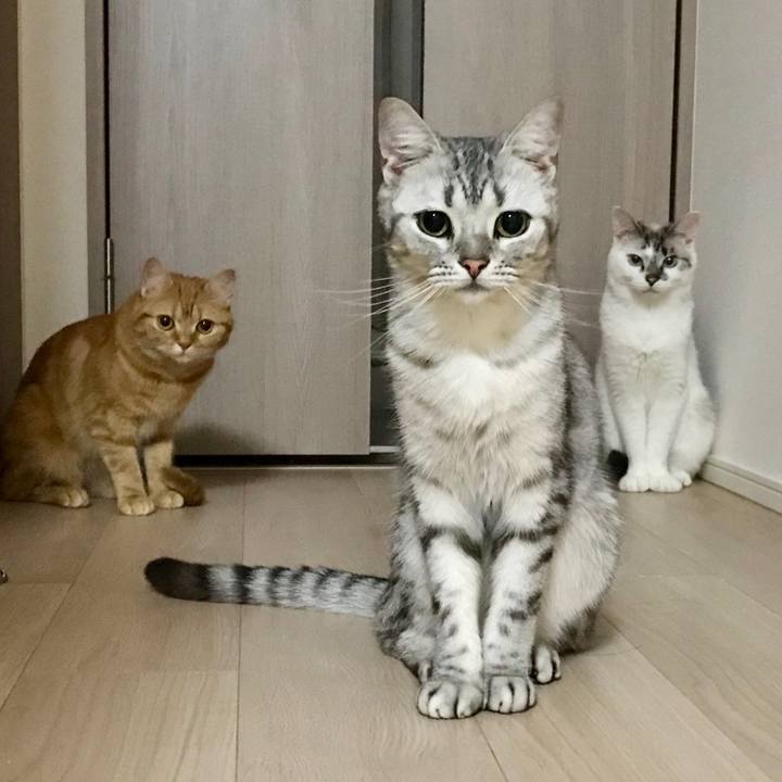 2dbe6f83 0104 40f8 a12e 912581ed4932 1529586340784