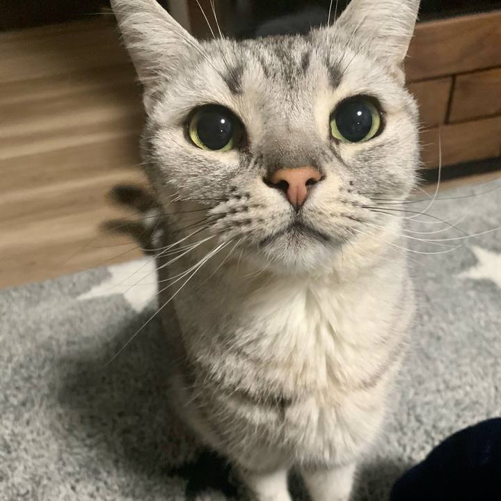 2dbe8631 60ec 42b1 895b 1bf8a1e2eab0 1647250005683