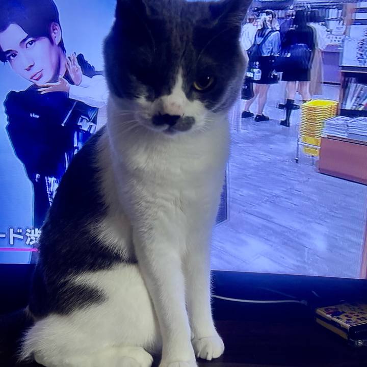 2dbe9e02 09de 406c a54d 67dcc8a6bd78 1651014259554