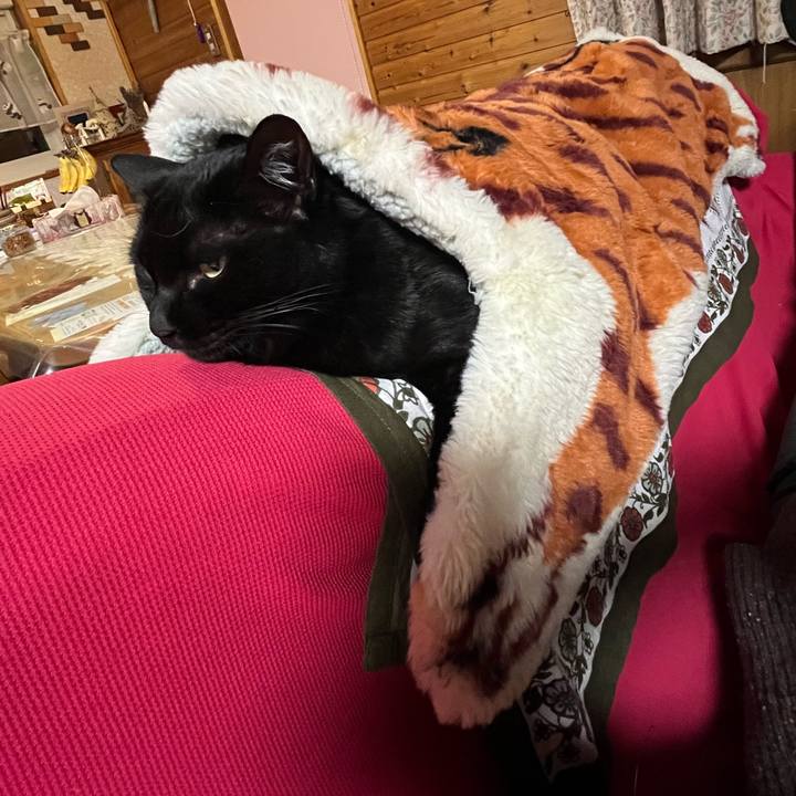 2dbeba7a ccd1 43d5 a4d5 3a32da74a202 1765101633138