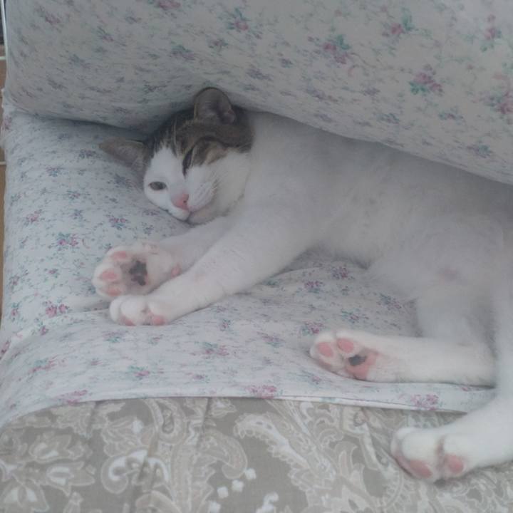 2dbec5e7 4499 42cf b615 07f431530640 1710898326103