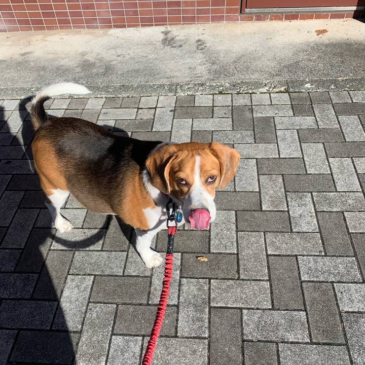 2dbee993 ce77 4c97 ac96 ed71f7a00b36 1642997125930