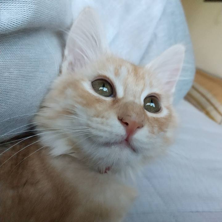 2dbef0f3 d75e 4211 8ecb a626107976f2 1607652381763