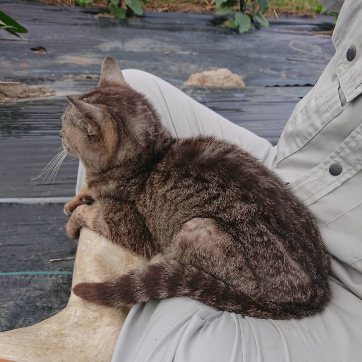 2dbf60c2 2863 45be 8ad4 9a4069d37473 1592559839506