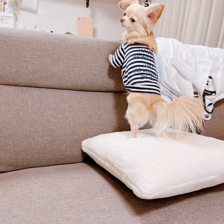 2dbfbf7a 8dd0 4626 86bb 6bfa522b6ec8 1675250942048