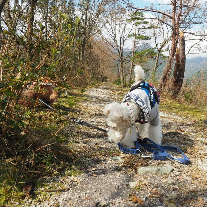 2dbfcd15 4bff 45bc 9a56 1d16118a2f7e 1510375779351