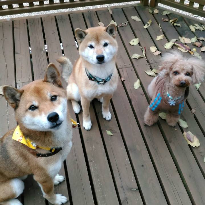 2dbfe0c0 879d 4779 bd31 03239e9f705b 1512373493724