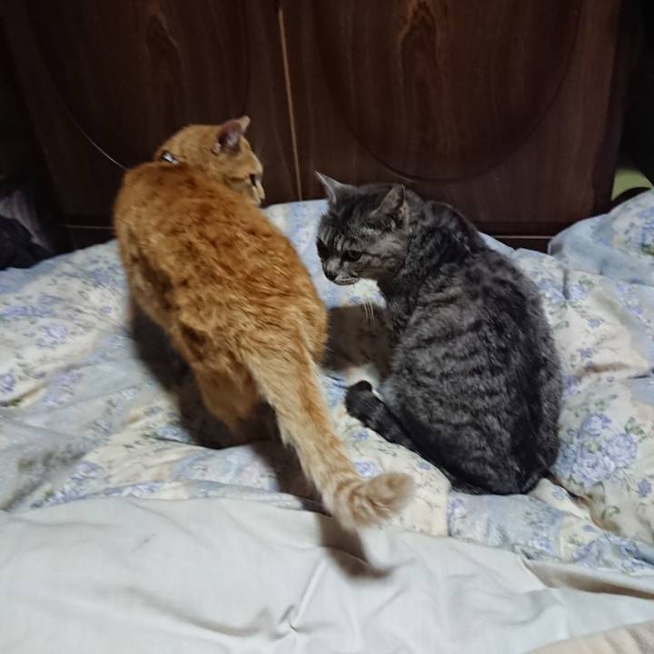 2dc001ab 71ac 4f23 a507 756009897895 1587903568971