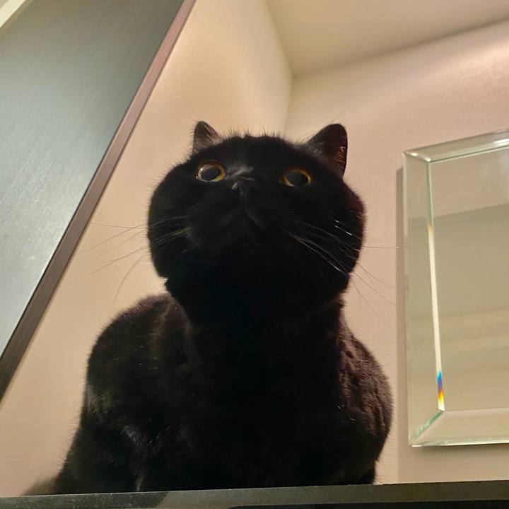 2dc007d2 5ccf 49f7 9261 8f86d72ac875 1707828222914