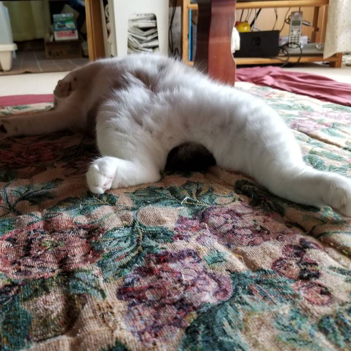 2dc0114f 9eeb 4deb a7bb ad581503ee36 1657246616618