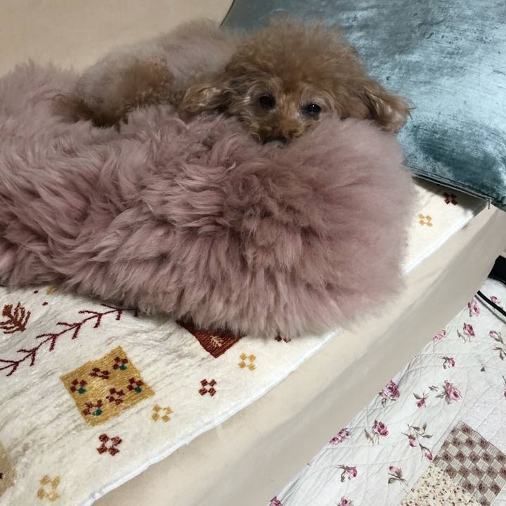 2dc01835 da0c 4a8c 906b d18ced66c0a5 1610986053980