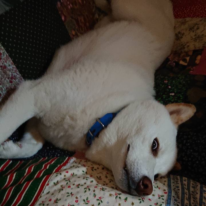 2dc01e38 3cbc 4532 a475 98bc8e978adb 1588514446924