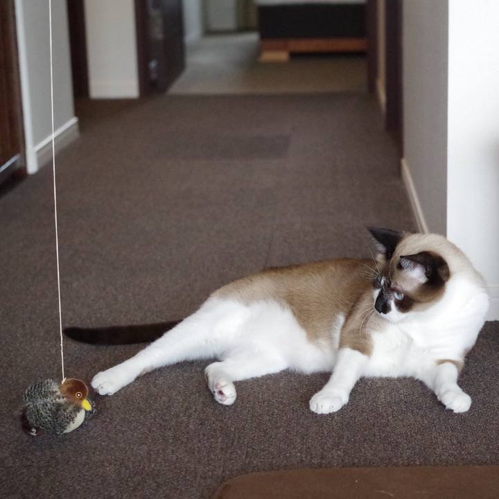 2dc029fa 80f7 47d6 928e 1963ca2f02c6 1546769608134