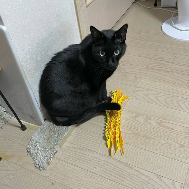 2dc054d7 3ab7 4fcb af38 39e5a09a2829 1715247140227