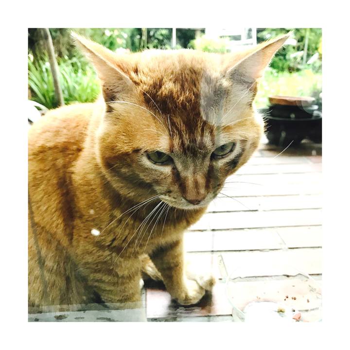 2dc063ae 4a3d 4c02 b9a4 7c85cdee3c7a 1619887717513