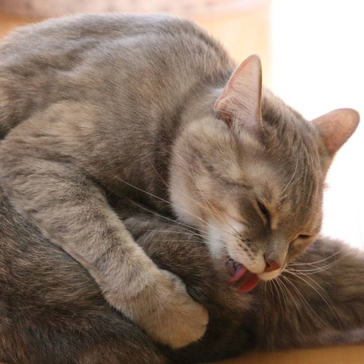 2dc06df7 2581 49c4 a5d7 e9798a1433b1 1546932925549