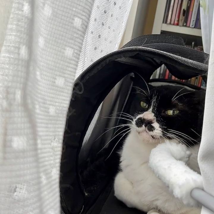 2dc071a9 6e87 4c1a 80d7 99c545607770 1687817196017