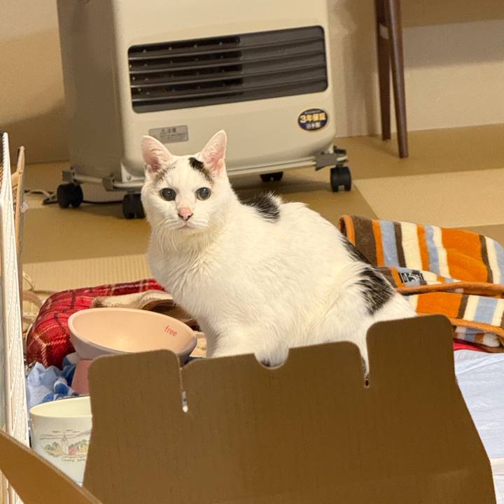 2dc083c4 8ad1 44cb 9154 21e4ecbd5f2d 1765146774191